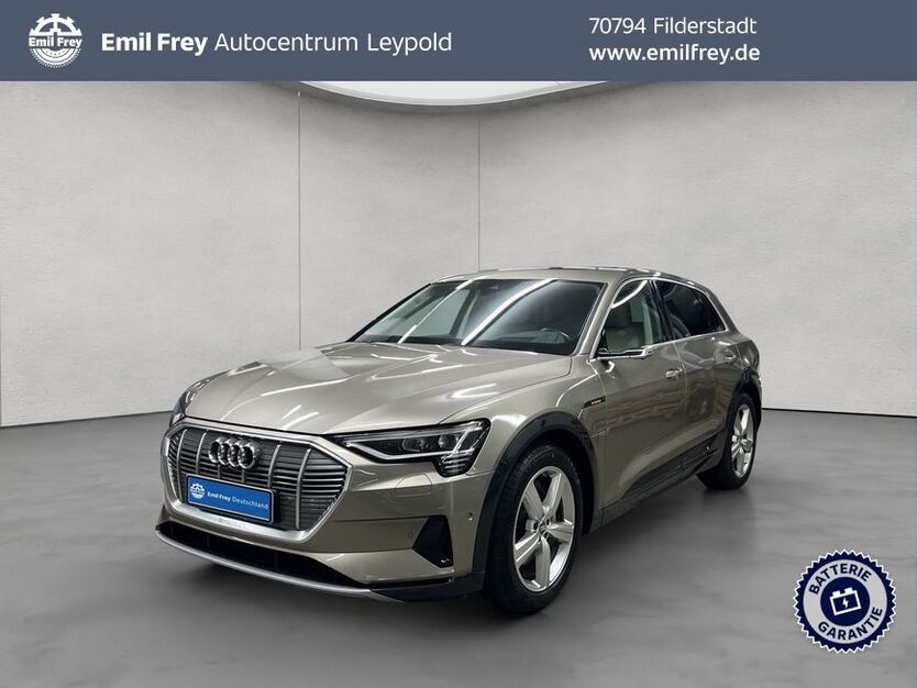 Audi e-tron 77.224 km 34.890 € Filderstadt 70794