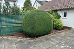 Doppelhaushälfte Herrenberg - 480.000&euro; | Angebot:26425112