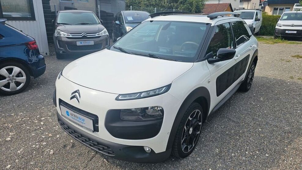 C4 Cactus