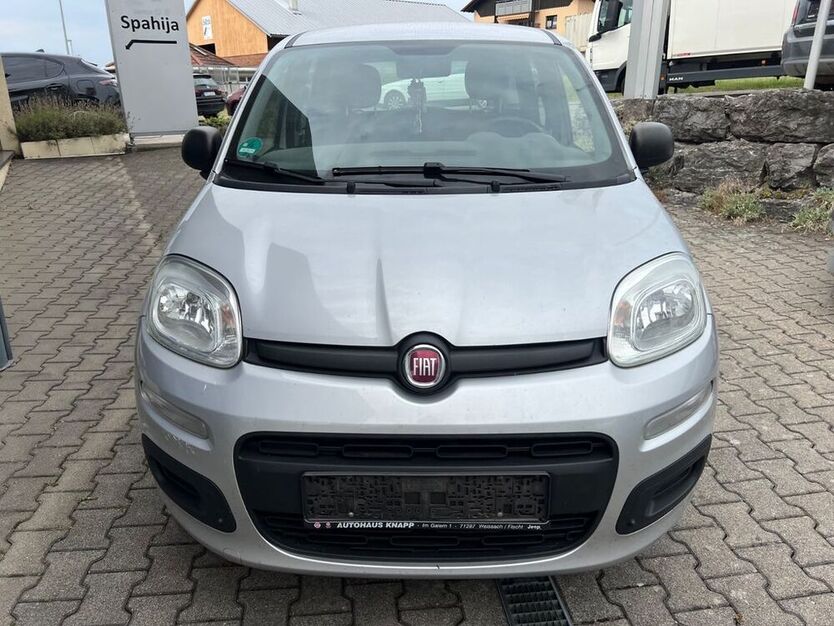 Panda