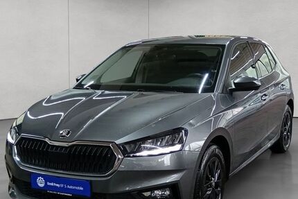 Skoda Fabia 24.893 km 17.890 &euro; Reutlingen 72762
