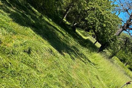 Grundstück Esslingen am Neckar Oberesslingen - 12.450&euro; | Angebot:23685293