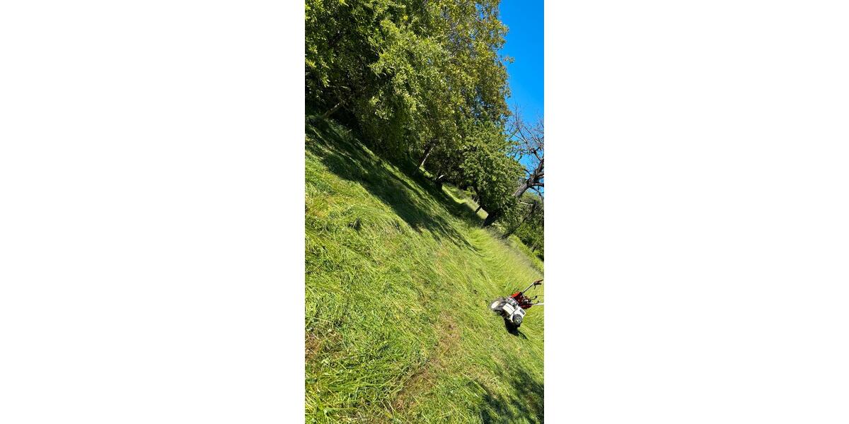 Grundstück Esslingen am Neckar Oberesslingen - 200&euro; | Angebot:23685293