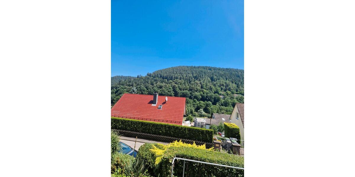 Etagenwohnung Calw - 1.5 Zimmer, 38 m&sup2;, 80.000&euro; | Angebot:25965949