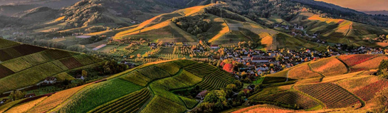 Goldberg Aussicht in Sindelfingen