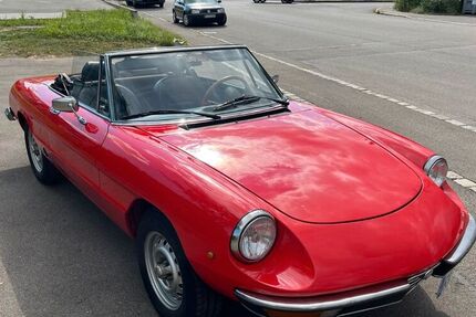 Alfa Romeo Spider