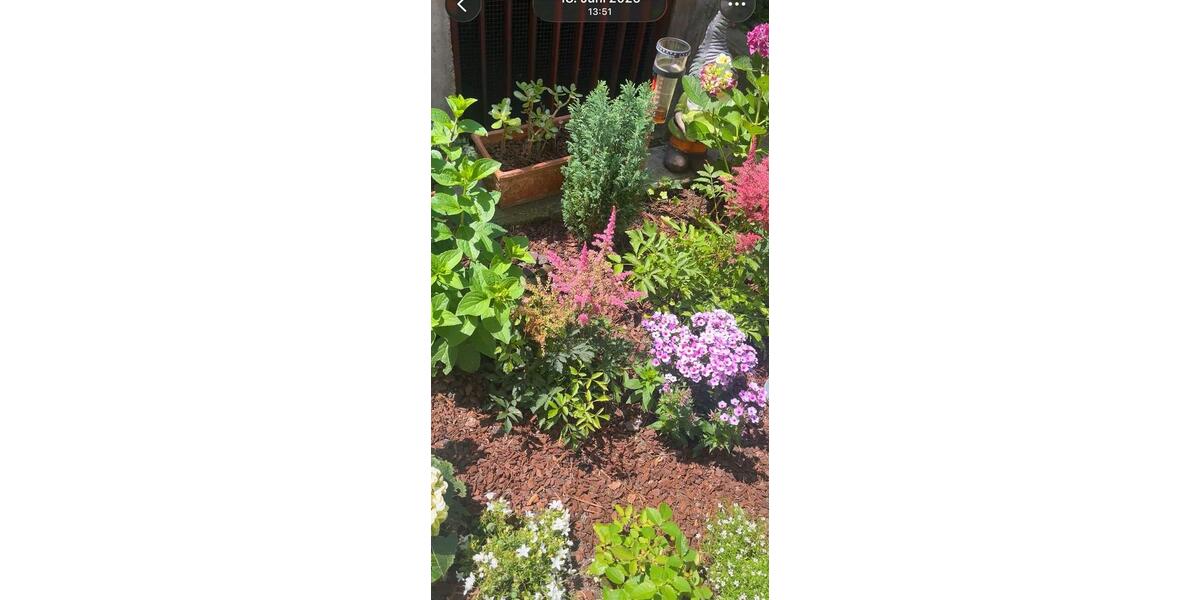 Erdgeschoßwohnung Stuttgart Stuttgart-West - 2 Zimmer, 62 m&sup2;, 1.150&euro; | Angebot:25920933