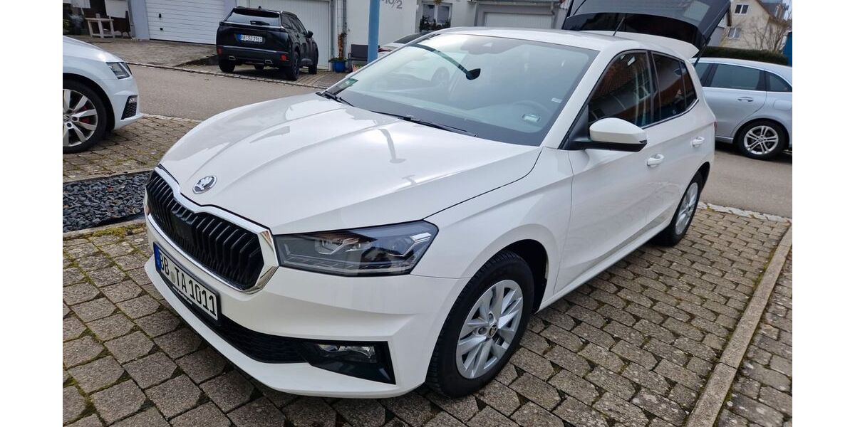 Skoda Fabia 9.100 km 17.499 &euro; Ehningen 71139