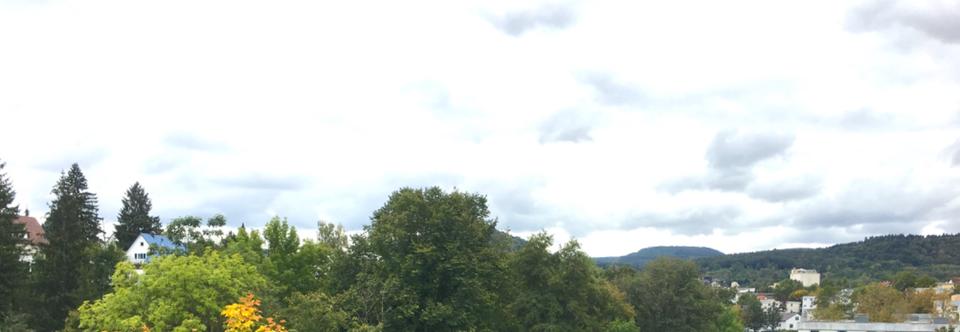 Etagenwohnung Reutlingen Sondelfingen - 1.5 Zimmer, 34 m&sup2;, 470&euro; | Angebot:26699917