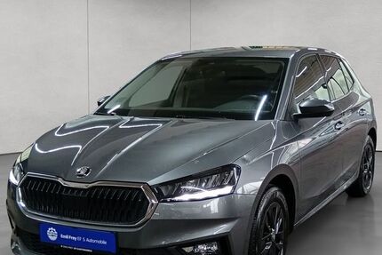 Skoda Fabia 24.893 km 16.890 &euro; Reutlingen 72762