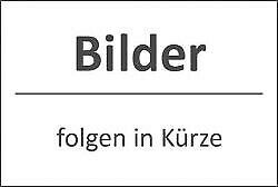 VW T-Roc 29.728 km 24.950 &euro; Nufringen/Stuttgart 71154