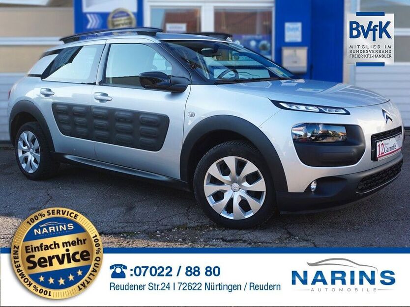 C4 Cactus