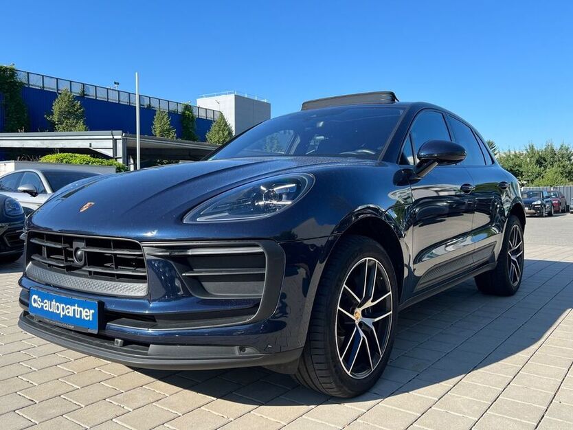 Macan