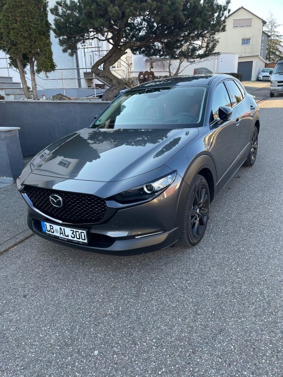 Mazda CX-30 9.000 km 27.990 € Markgröningen 71706