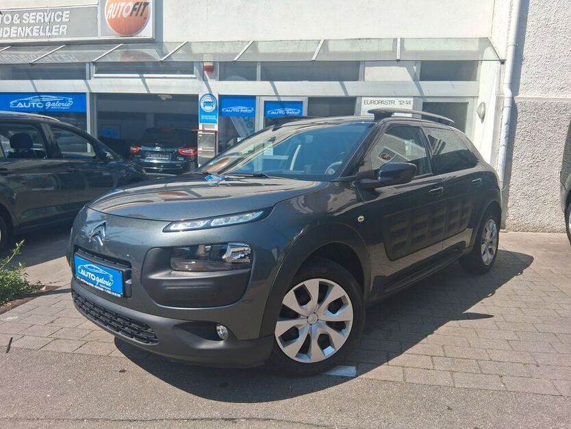 C4 Cactus