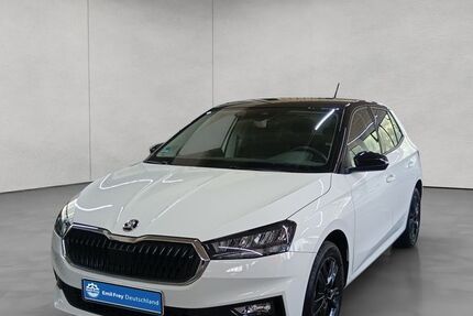 Skoda Fabia 17.933 km 14.523 &euro; Reutlingen 72762