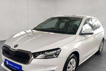 Skoda Fabia 59.739 km 16.890 € Esslingen 73730