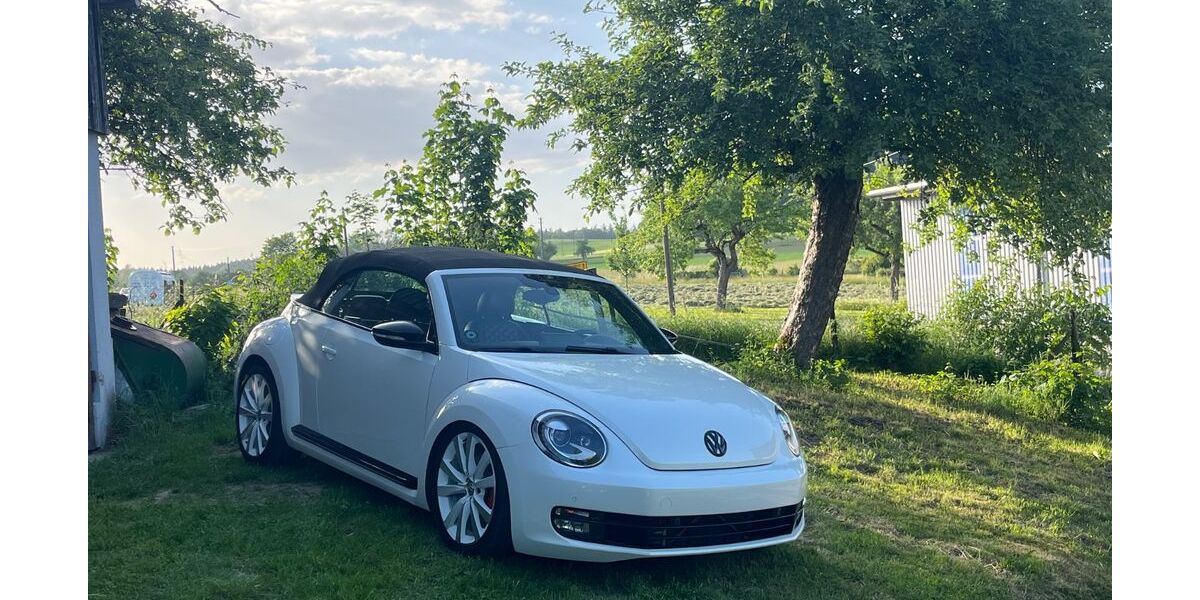 VW Beetle 151.000 km 25.000 &euro; Stuttgart 70186