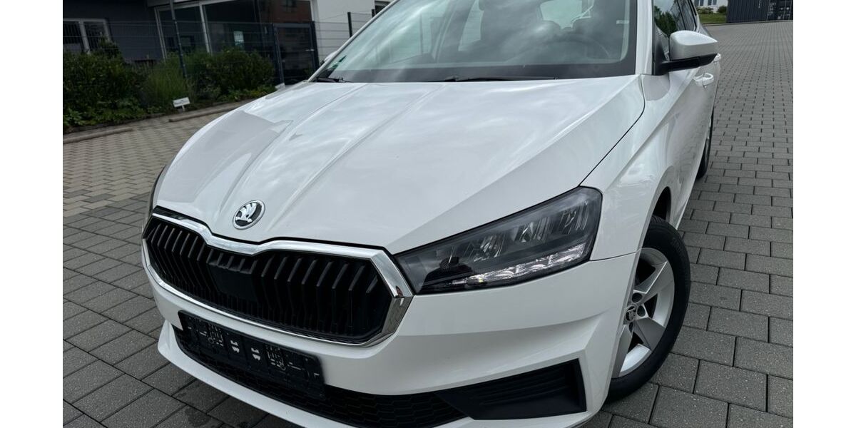 Skoda Fabia 167.000 km 6.960 &euro; Holzgerlingen 71088
