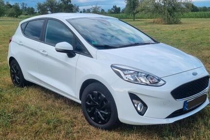 Ford Fiesta 104.000 km 7.950 &euro; Wildberg 72218