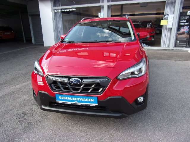XV