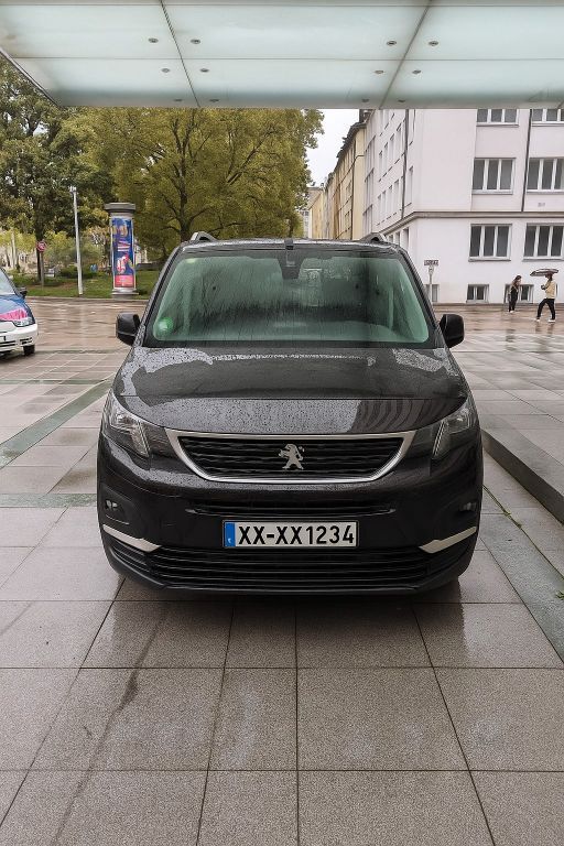 Peugeot Rifter 72.164 km 16.200 € Stuttgart 70176