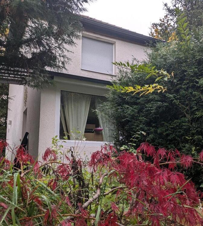 Gartenhäuschen Tiny Haus zimmer