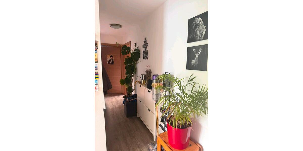 Etagenwohnung Tübingen Lustnau - 3 Zimmer, 66 m&sup2;, 310.000&euro; | Angebot:27569668