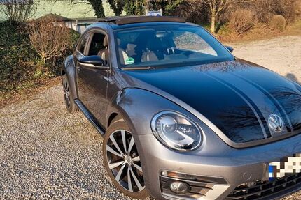 VW Beetle