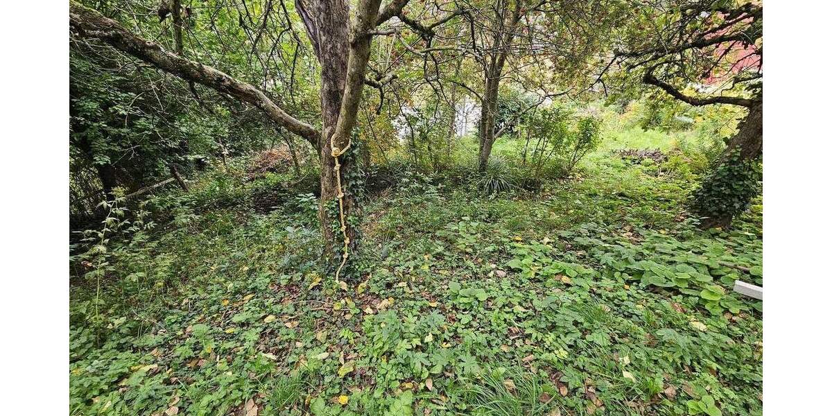 Mehrfamilienhaus, Wohnhaus Reutlingen Ringelbach - 1 Zimmer, 217 m&sup2;, 650.000&euro; | Angebot:25781242