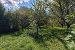 Obstwiese mit Hütte am Fuße der Achalm zu verkaufen