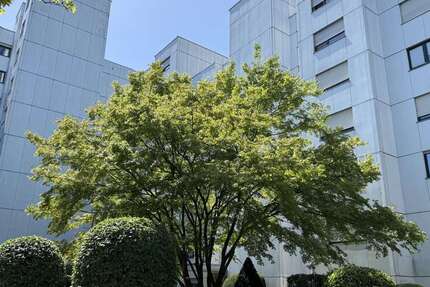 Wohnung Waiblingen Beinstein - 1 Zimmer, 42 m&sup2;, 120.000&euro; | Angebot:25466237