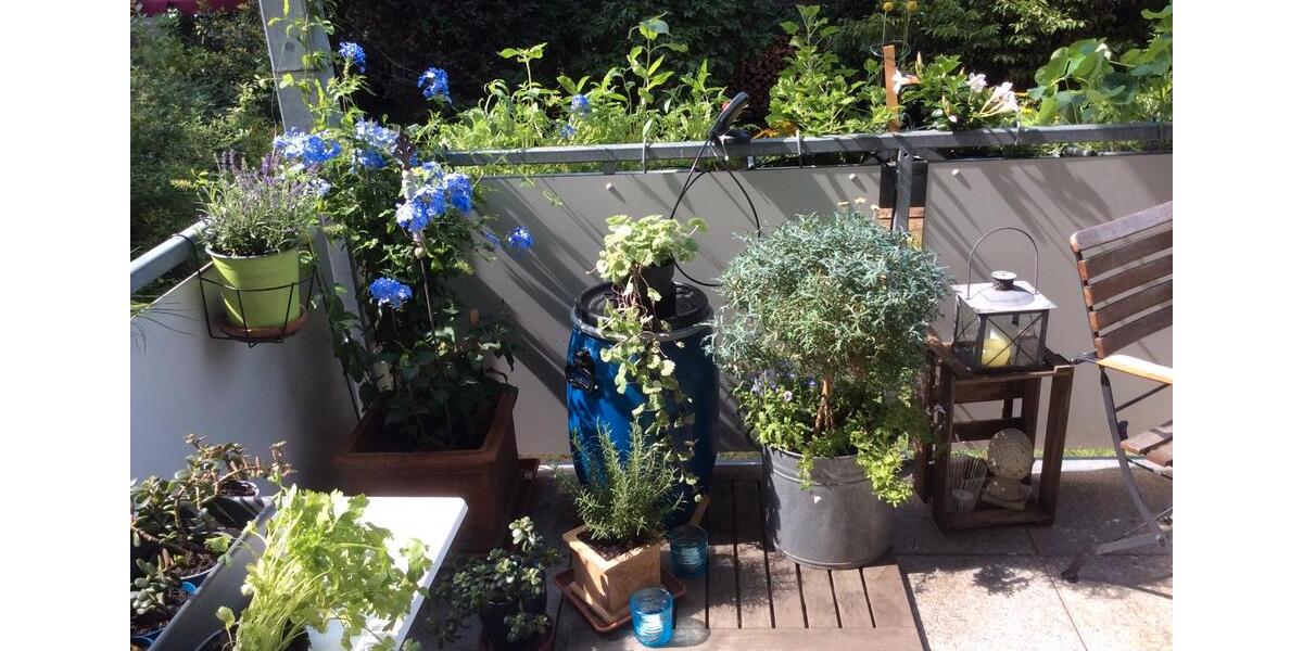 Hochparterre Stuttgart Bad Cannstatt - 3 Zimmer, 70 m&sup2;, 380.000&euro; | Angebot:26864814