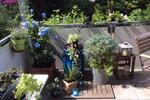 Hochparterre Stuttgart Bad Cannstatt - 3 Zimmer, 70 m&sup2;, 380.000&euro; | Angebot:26864814