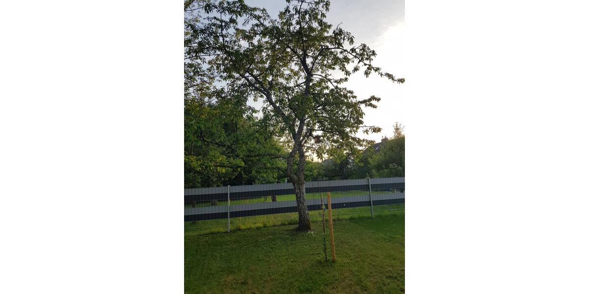 Erdgeschoßwohnung Reutlingen Reutlingen-Betzingen - 3 Zimmer, 68 m&sup2;, 350.000&euro; | Angebot:25842642