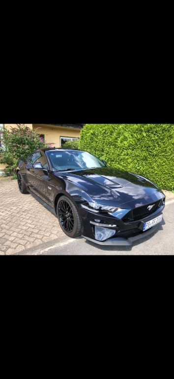 Mustang