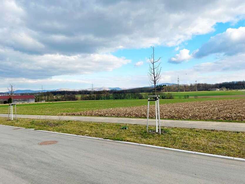 Grundstück zu verkaufen in Altdorf 346.000 € 495 m²