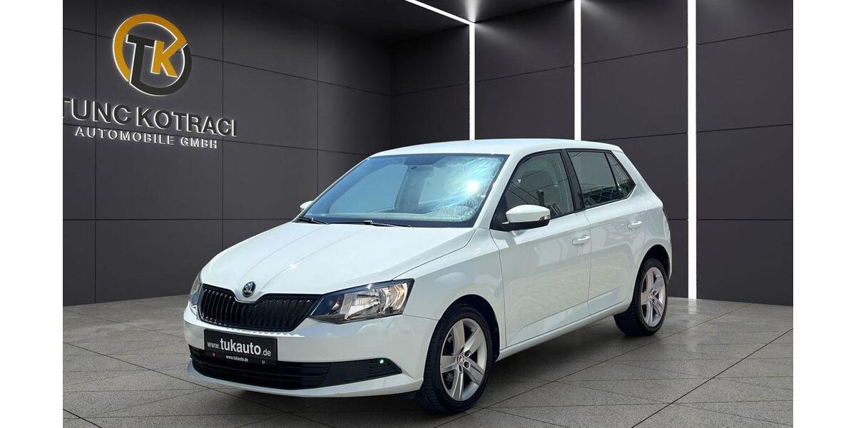 Skoda Fabia 99.500 km 6.950 &euro; Nürtingen 72622