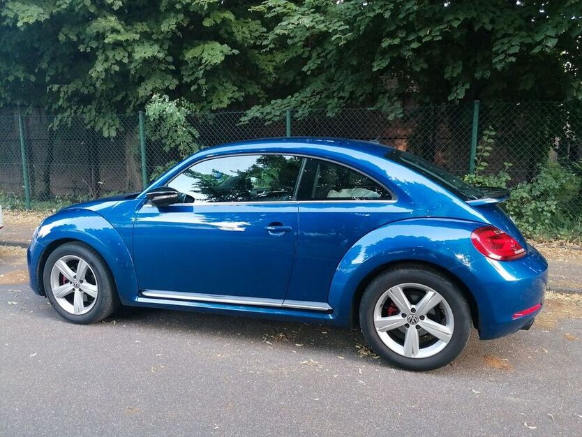 Beetle