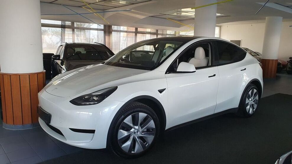 Model Y