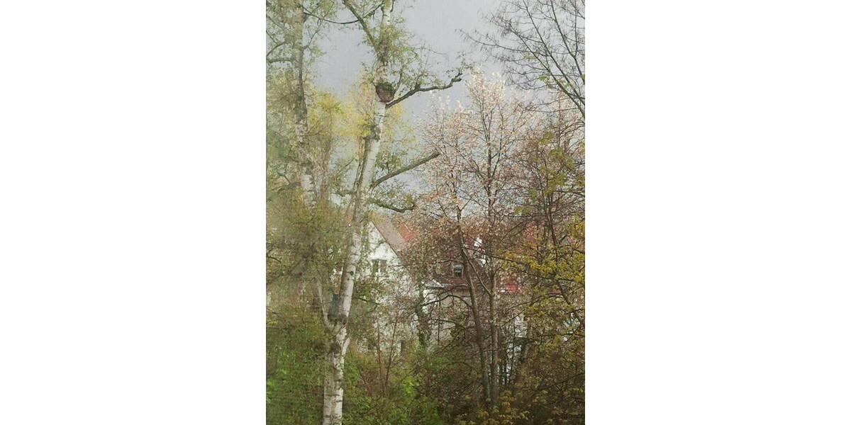 Etagenwohnung Stuttgart Degerloch - 2 Zimmer, 63 m&sup2;, 299.000&euro; | Angebot:25938704