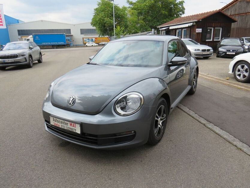 Beetle