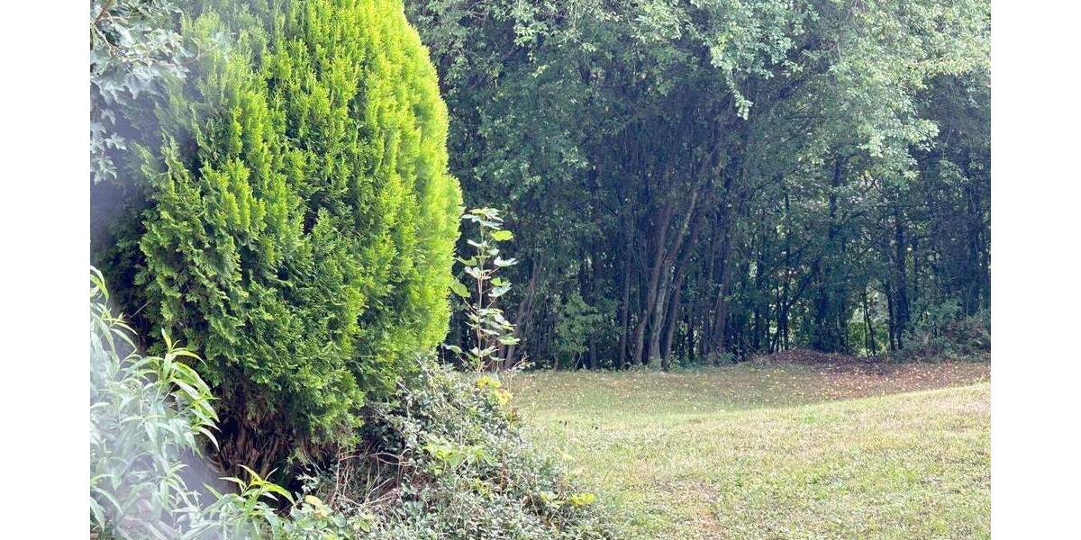 Etagenwohnung Wildberg - 2 Zimmer, 54 m&sup2;, 110.000&euro; | Angebot:22952099