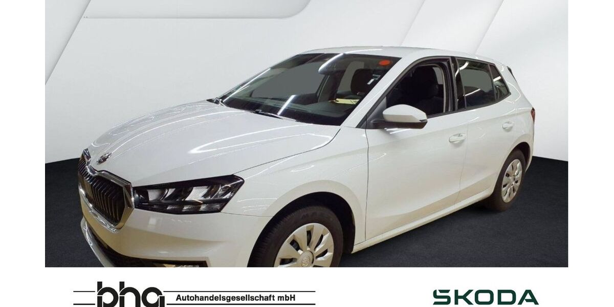Skoda Fabia 20.671 km 15.930 &euro; Tübingen 72072