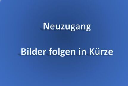 Seat Leon 178.500 km 15.900 &euro; Sindelfingen 71065