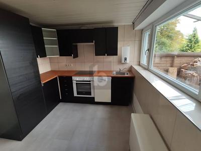 ROHDIAMANT - NATURGUNDSTÜCK MIT BESTAND - Grundstück Gerlingen | Angebot:26008061