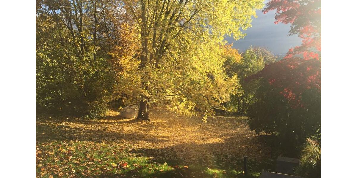 Doppelhaushälfte Esslingen am Neckar Hegensberg - 6.5 Zimmer, 225 m&sup2;, 1.250.000&euro; | Angebot:27085377