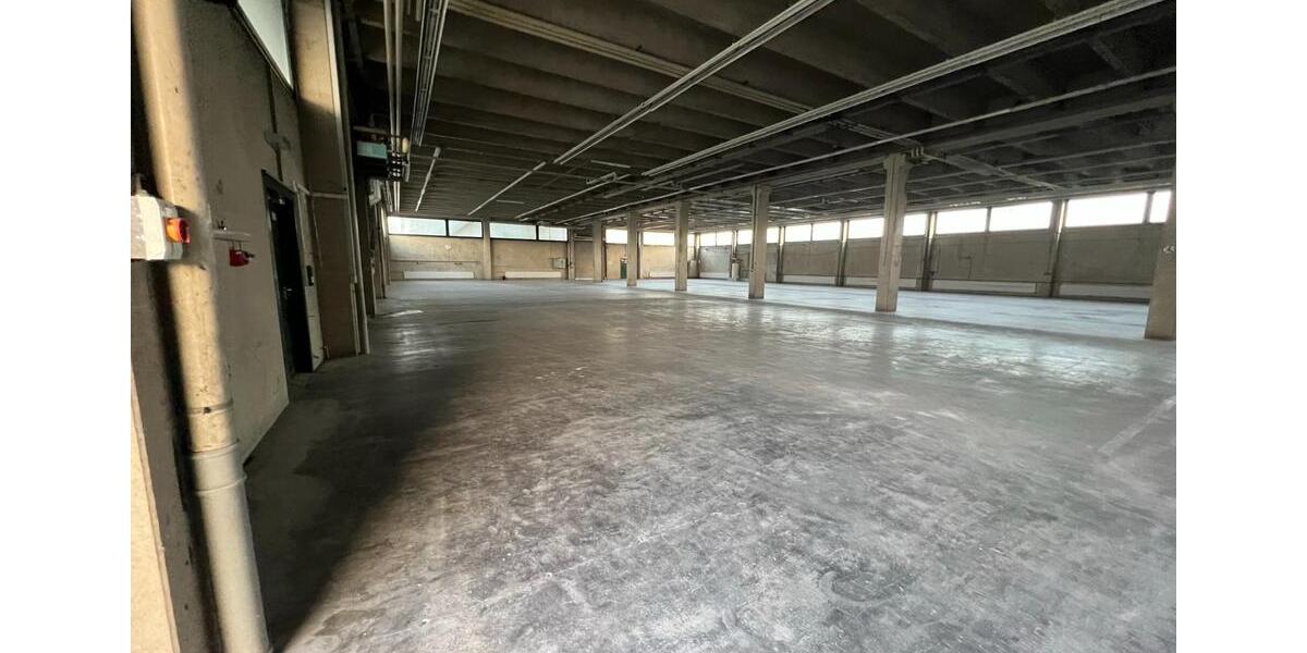 Flexible Lager- oder Produktionshalle in Hirschlanden – teilbar a zimmer