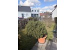 Gepflegte 3-Zimmer-Erdgeschosswohnung mit Garten, Balkon & Tiefgaragenstellplatz in Rutesheim – - Appartement Rutesheim Heuweg | Angebot:27250473