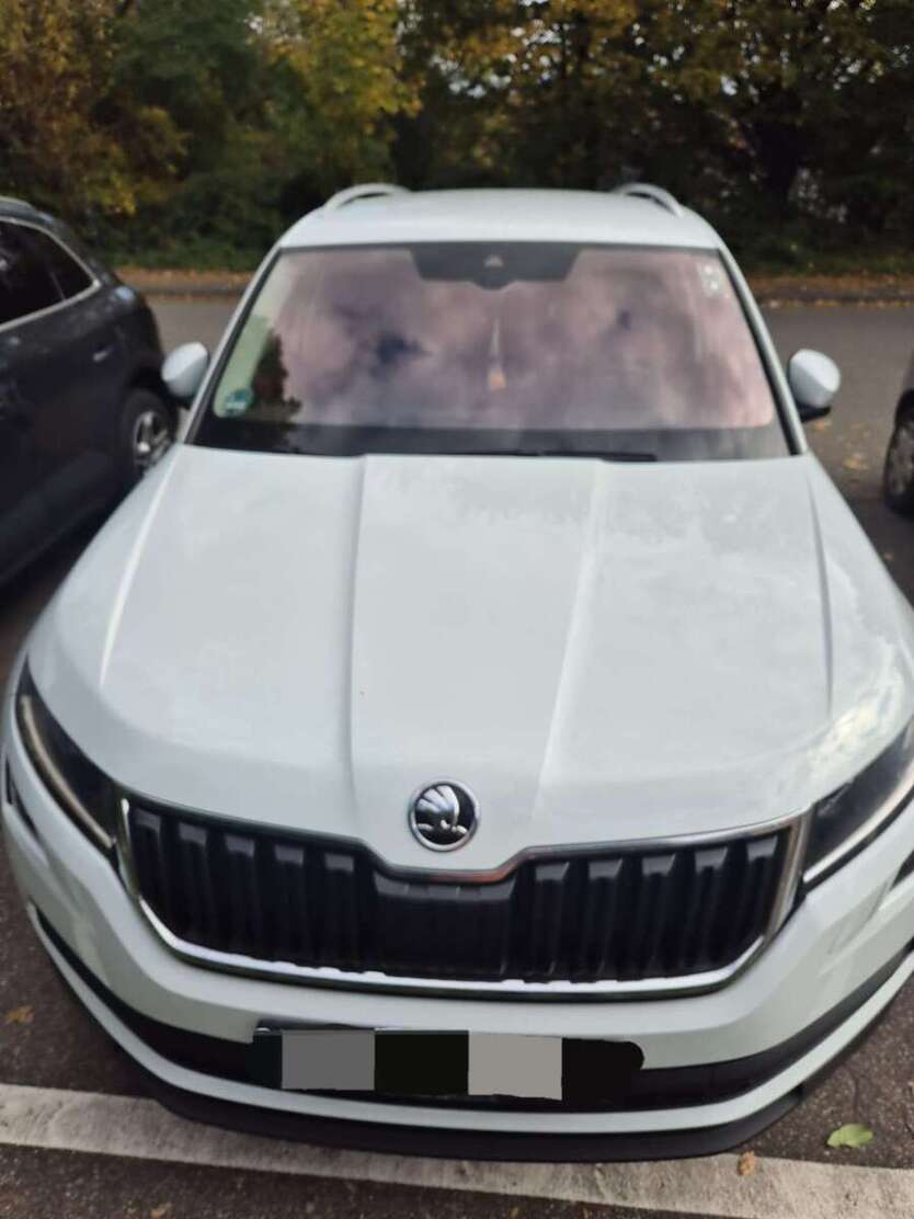Skoda Kodiaq 212.000 km 16.990 € Vaihingen an der Enz 71665